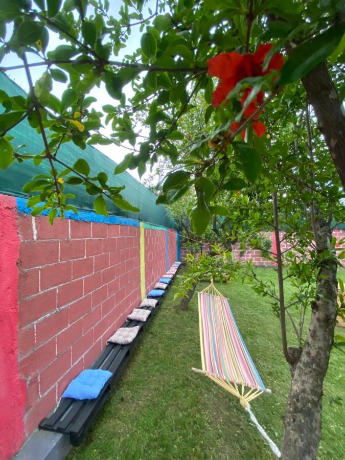 The Hood - Shkodra Backpackers Hostel المظهر الخارجي الصورة